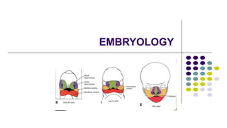 EMBRYOLOGY
 