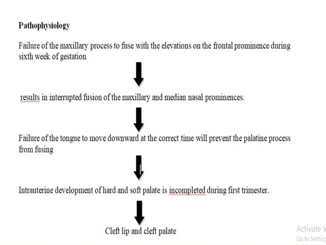 Cleft Lip And Palate