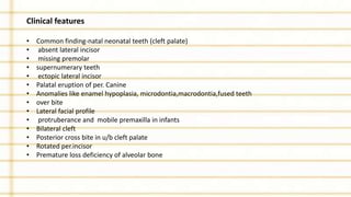 Clinical features
• Common finding-natal neonatal teeth (cleft palate)
• absent lateral incisor
• missing premolar
• supernumerary teeth
• ectopic lateral incisor
• Palatal eruption of per. Canine
• Anomalies like enamel hypoplasia, microdontia,macrodontia,fused teeth
• over bite
• Lateral facial profile
• protruberance and mobile premaxilla in infants
• Bilateral cleft
• Posterior cross bite in u/b cleft palate
• Rotated per.incisor
• Premature loss deficiency of alveolar bone
 
