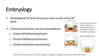 CLEFT LIP AND PALATE.pptx