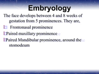 Embryology
The face develops between 4 and 8 weeks of
gestation from 5 prominences. They are,
🞒 Frontonasal prominence
🞒 Paired maxillary prominence
🞒 Paired Mandibular prominence, around the
stomodeum
 
