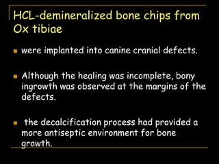 HCL-demineralized bone chips from
Ox tibiae
 were implanted into canine cranial defects.
 Although the healing was incomplete, bony
ingrowth was observed at the margins of the
defects.
 the decalcification process had provided a
more antiseptic environment for bone
growth.
 