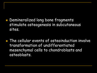  Demineralized long bone fragments
stimulate osteogenesis in subcutaneous
sites.
 The cellular events of osteoinduction involve
transformation of undifferentiated
mesenchymal cells to chondroblasts and
osteoblasts.
 