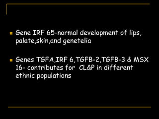  Gene IRF 65-normal development of lips,
palate,skin,and genetelia
 Genes TGFA,IRF 6,TGFB-2,TGFB-3 & MSX
16- contributes for CL&P in different
ethnic populations
 