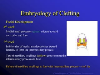 Cleft lip and palate.pptx