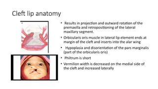 cleft lip and palate diagnosis and treatment modalities | PPTX