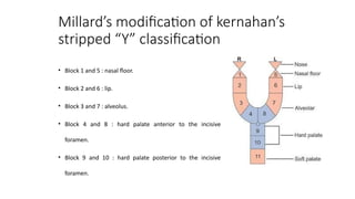 cleft lip and palate diagnosis and treatment modalities | PPTX