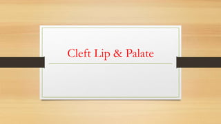 Cleft Lip & Palate
 