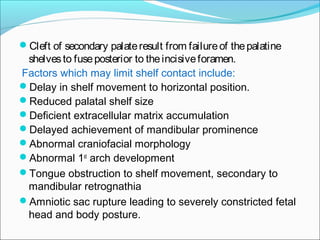 Cleft lip and palate | PPT