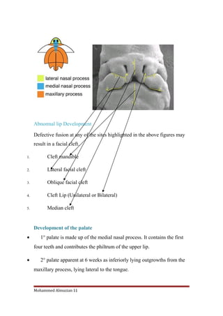 Cleft lip and palate for orthodontist by Almuzian | DOC