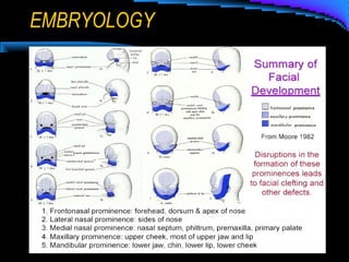 EMBRYOLOGY
 