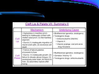 Cleft lip and palate management