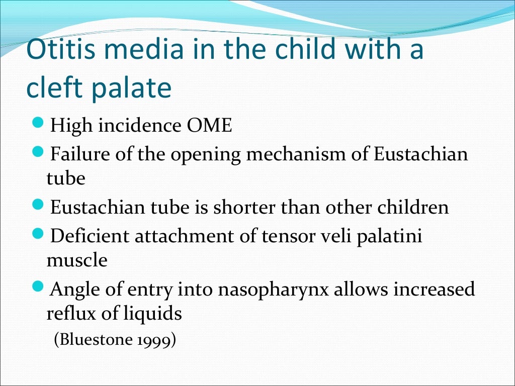 Cleft Lip And Palate Ppt