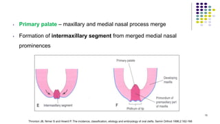 • Primary palate – maxillary and medial nasal process merge
• Formation of intermaxillary segment from merged medial nasal
prominences
15
Thronton JB, Nimer S and Howrd P. The incidence, classification, etiology and embryology of oral clefts. Semin Orthod 1996;2:162-168
 