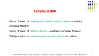 Formation of clefts
• Failure of fusion of maxillary and medial nasal processes – anterior
to incisive foramen
• Failure of fusion of palatine shelves – posterior to incisive foramen
• Cleft lip – failure of proliferation of mesodermal cells in midline
18
Thronton JB, Nimer S and Howrd P. The incidence, classification, etiology and embryology of oral clefts. Semin Orthod 1996;2:162-168
 