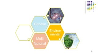 Multi
factorial
Environ
mental
Genetic
24
 