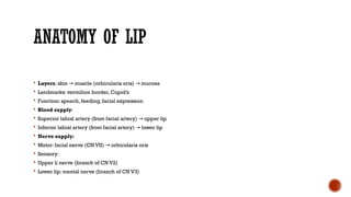Comprehensive Overview of Cleft Lip and Palate: Embryology, Anatomy ...