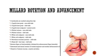 Comprehensive Overview of Cleft Lip and Palate: Embryology, Anatomy ...