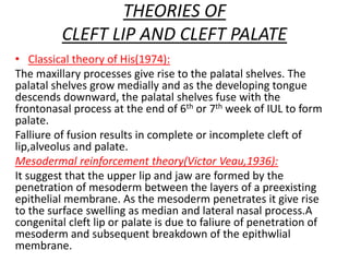 THEORIES OF
CLEFT LIP AND CLEFT PALATE
• Classical theory of His(1974):
The maxillary processes give rise to the palatal shelves. The
palatal shelves grow medially and as the developing tongue
descends downward, the palatal shelves fuse with the
frontonasal process at the end of 6th or 7th week of IUL to form
palate.
Falliure of fusion results in complete or incomplete cleft of
lip,alveolus and palate.
Mesodermal reinforcement theory(Victor Veau,1936):
It suggest that the upper lip and jaw are formed by the
penetration of mesoderm between the layers of a preexisting
epithelial membrane. As the mesoderm penetrates it give rise
to the surface swelling as median and lateral nasal process.A
congenital cleft lip or palate is due to faliure of penetration of
mesoderm and subsequent breakdown of the epithwlial
membrane.
 