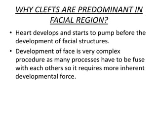 WHY CLEFTS ARE PREDOMINANT IN
FACIAL REGION?
• Heart develops and starts to pump before the
development of facial structures.
• Development of face is very complex
procedure as many processes have to be fuse
with each others so it requires more inherent
developmental force.
 