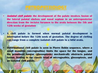 Cleft lip & palate | PPSX