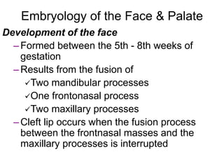 Cleft Lip & Palate KIU.pptx