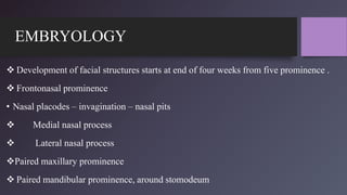 EMBRYOLOGY
 Development of facial structures starts at end of four weeks from five prominence .
 Frontonasal prominence
• Nasal placodes – invagination – nasal pits
 Medial nasal process
 Lateral nasal process
Paired maxillary prominence
 Paired mandibular prominence, around stomodeum
 