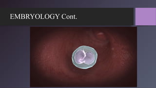 EMBRYOLOGY Cont.
 
