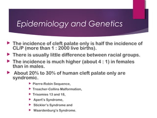 Epidemiology and Genetics
 The incidence of cleft palate only is half the incidence of
CL/P (more than 1 : 2000 live births).
 There is usually little difference between racial groups.
 The incidence is much higher (about 4 : 1) in females
than in males.
 About 20% to 30% of human cleft palate only are
syndromic.
 Pierre-Robin Sequence,
 Treacher-Collins Malformation,
 Trisomies 13 and 18,
 Apert’s Syndrome,
 Stickler’s Syndrome and
 Waardenburg’s Syndrome.
 