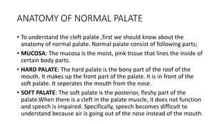 ANATOMY OF NORMAL PALATE
• To understand the cleft palate ,first we should know about the
anatomy of normal palate. Normal palate consist of following parts;
• MUCOSA: The mucosa is the moist, pink tissue that lines the inside of
certain body parts.
• HARD PALATE: The hard palate is the bony part of the roof of the
mouth. It makes up the front part of the palate. It is in front of the
soft palate. It seperates the mouth from the nose.
• SOFT PALATE: The soft palate is the posterior, fleshy part of the
palate.When there is a cleft in the palate muscle, it does not function
and speech is impaired. Specifically, speech becomes difficult to
understand because air is going out of the nose instead of the mouth.
 