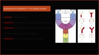 Comprehensive Management of Cleft Palate: Embryology to Prosthodontics ...