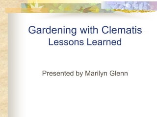 Gardening with Clematis
    Lessons Learned


  Presented by Marilyn Glenn
 