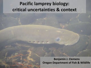 Pacific lamprey biology:
critical uncertainties & context




                       Benjamin J. Clemens
               Oregon Department of Fish & Wildlife
 