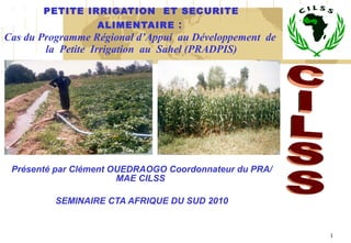 PETITE IRRIGATION  ET SECURITE ALIMENTAIRE  :  Cas du Programme Régional d’Appui  au Développement  de  la  Petite  Irrigation  au  Sahel (PRADPIS) Présenté par Clément OUEDRAOGO Coordonnateur du PRA/MAE CILSS  SEMINAIRE CTA AFRIQUE DU SUD 2010 CILSS 