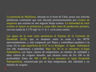 La península de Mejillones, ubicada en el norte de Chile, posee una estrecha
plataforma continental que está afectada permanentemente por eventos de
surgencia que ocurren en una angosta franja costera. La intensidad de estos
eventos es mayor en primavera y causa altas tasas de producción primaria,
con una media de 3.170 mgC·m -2 ·d -1 en la zona costera.

Las aguas de la zona norte pertenecen al Sistema de la Corriente de
Humboldt (SCH) que se desplaza entre la costa y los 80°W
aproximadamente, y está compuesto por flujos y contraflujos paralelos a la
costa. En la capa superficial de 0-25 m se distingue el Agua Subtropical
con alta temperatura y salinidad. Bajo los 20 m se encuentra el Agua
Subantártica, con bajos valores de temperatura, un mínimo de salinidad y
altos valores de oxígeno disuelto, que alcanza cerca de los 100 m de
profundidad. Entre los 100 y 400 m se encuentra el Agua Ecuatorial
Subsuperficial, caracterizada por su baja temperatura, alta salinidad y un
mínimo de oxígeno.
 