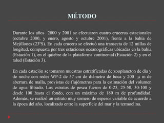 MÉTODO

Durante los años 2000 y 2001 se efectuaron cuatro cruceros estacionales
(octubre 2000, y enero, agosto y octubre 2001), frente a la bahía de
Mejillones (23ºS). En cada crucero se efectuó una transecta de 12 millas de
longitud, compuesta por tres estaciones oceanográficas ubicadas en la bahía
(Estación 1), en el quiebre de la plataforma continental (Estación 2) y en el
talud (Estación 3).

En cada estación se tomaron muestras estratificadas de zooplancton de día y
de noche con redes WP-2 de 57 cm de diámetro de boca y 200 µ m de
abertura de malla, provistas de flujómetros para la estimación del volumen
de agua filtrado. Los estratos de pesca fueron de 0-25, 25-50, 50-100 y
desde 100 hasta el fondo, con un máximo de 180 m de profundidad.
Además, se realizó un estrato muy somero de espesor variable de acuerdo a
la época del año, localizado entre la superficie del mar y la termoclina.
 