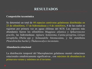 RESULTADOS
Composición taxonómica

Se determinó un total de 44 especies carnívoras gelatinosas distribuidas en
23 de sifonóforos, 17 de hidromedusas y 4 de ctenóforos, 8 de las cuales se
registran por primera vez en aguas chilenas del SCH. Las especies más
abundantes fueron los sifonóforos Muggiaea atlantica y Sphaeronectes
gracilis, las hidromedusas Aglaura hemistoma, Cunina peregrina, Liriope
tetraphylla, Obelia spp. y Solmundella bitentaculata, y los ctenóforos
Pleurobrachia bachei y Thalassocalyce inconstans.

Abundancia estacional

La distribución temporal del Macroplancton gelatinoso mostró variaciones
estacionales estadísticamente significativas , con máximos de abundancia en
primavera-verano y mínimos en el invierno.
 