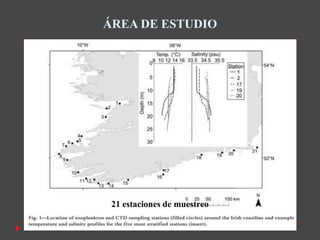 ÁREA DE ESTUDIO




 21 estaciones de muestreo
 