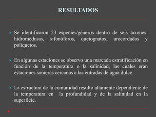 RESULTADOS


   Se identificaron 23 especies/géneros dentro de seis taxones:
    hidromedusas, sifonóforos, quetognatos, urocordados y
    poliquetos.

   En algunas estaciones se observo una marcada estratificación en
    función de la temperatura o la salinidad, las cuales eran
    estaciones someras cercanas a las entradas de agua dulce.

   La estructura de la comunidad resulto altamente dependiente de
    la temperatura en la profundidad y de la salinidad en la
    superficie.
 