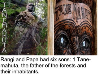 Rangi and Papa had six sons: 1 Tane-mahuta, the father of the forests and their inhabitants.   