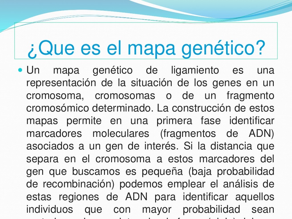 mapa genético