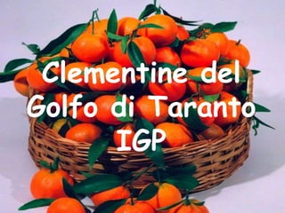 Clementine del
Golfo di Taranto
IGP
 