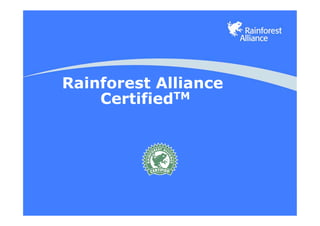 Rainforest Alliance
    CertifiedTM
 