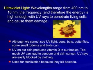 Ultraviolet Light
Ultraviolet Light: Wavelengths
: Wavelengths range from 400 nm to
10 nm; the frequency (and therefore the energy) is
high enough with UV rays to penetrate living cells
and cause them damage.
Although we cannot see UV light, bees, bats, butterflies,
some small rodents and birds can.
UV on our skin produces vitamin D in our bodies. Too
much UV can lead to sunburn and skin cancer. UV rays
are easily blocked by clothing.
Used for sterilization because they kill bacteria.
 
