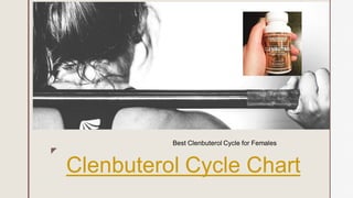 z
Best Clenbuterol Cycle for Females
z
Clenbuterol Cycle Chart
 
