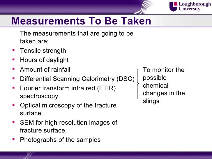Dissertation interim report sample image