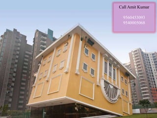 Call Amit Kumar

  9560453093
  9540005068
 