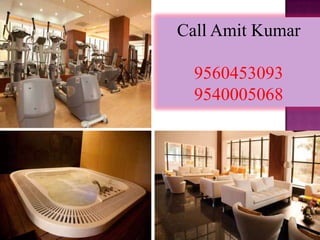 Call Amit Kumar

  9560453093
  9540005068
 