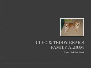 CLEO & TEDDY BEAR'S
      FAMILY ALBUM
          Born: Feb 20, 2009
 