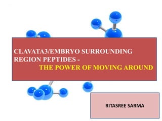 CLAVATA3/EMBRYO SURROUNDING
REGION PEPTIDES -
THE POWER OF MOVING AROUND
RITASREE SARMA
 